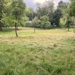 Aktionstag auf unserer Naturschutz-Wiese