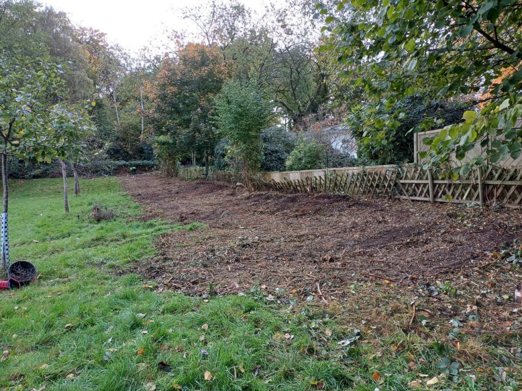 ehemaliger Streifen der Brombeerhecke