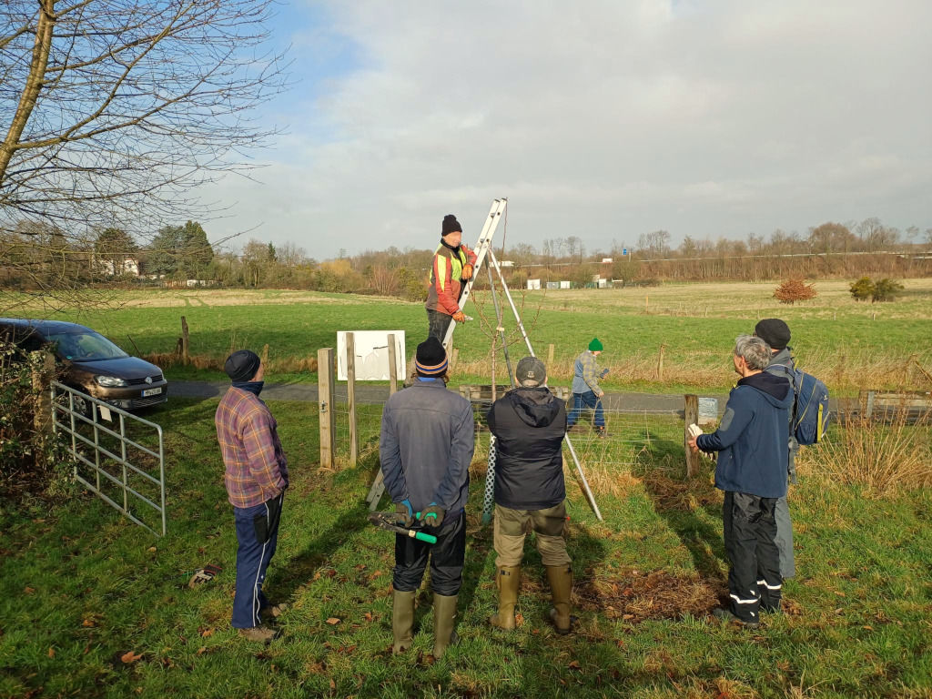 Anleitung zum Obstbaumschnitt